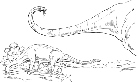 Diplodocus Sauropod Dinosaur Coloring Page